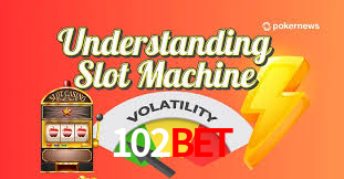 Daily Bonuses 102bet